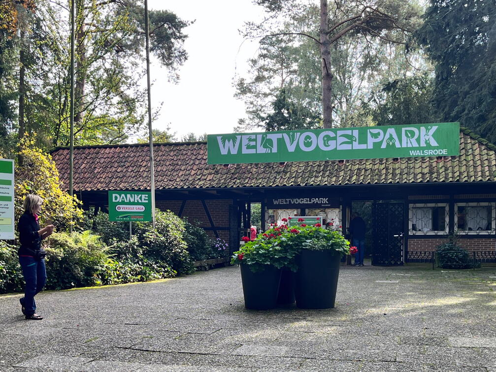 23-09-22 11-37-15 7238